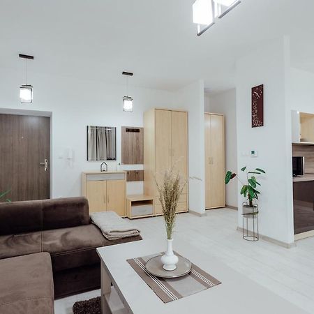 Apartman Vo Vile Kammergraf Banska Stiavnica Bagian luar foto
