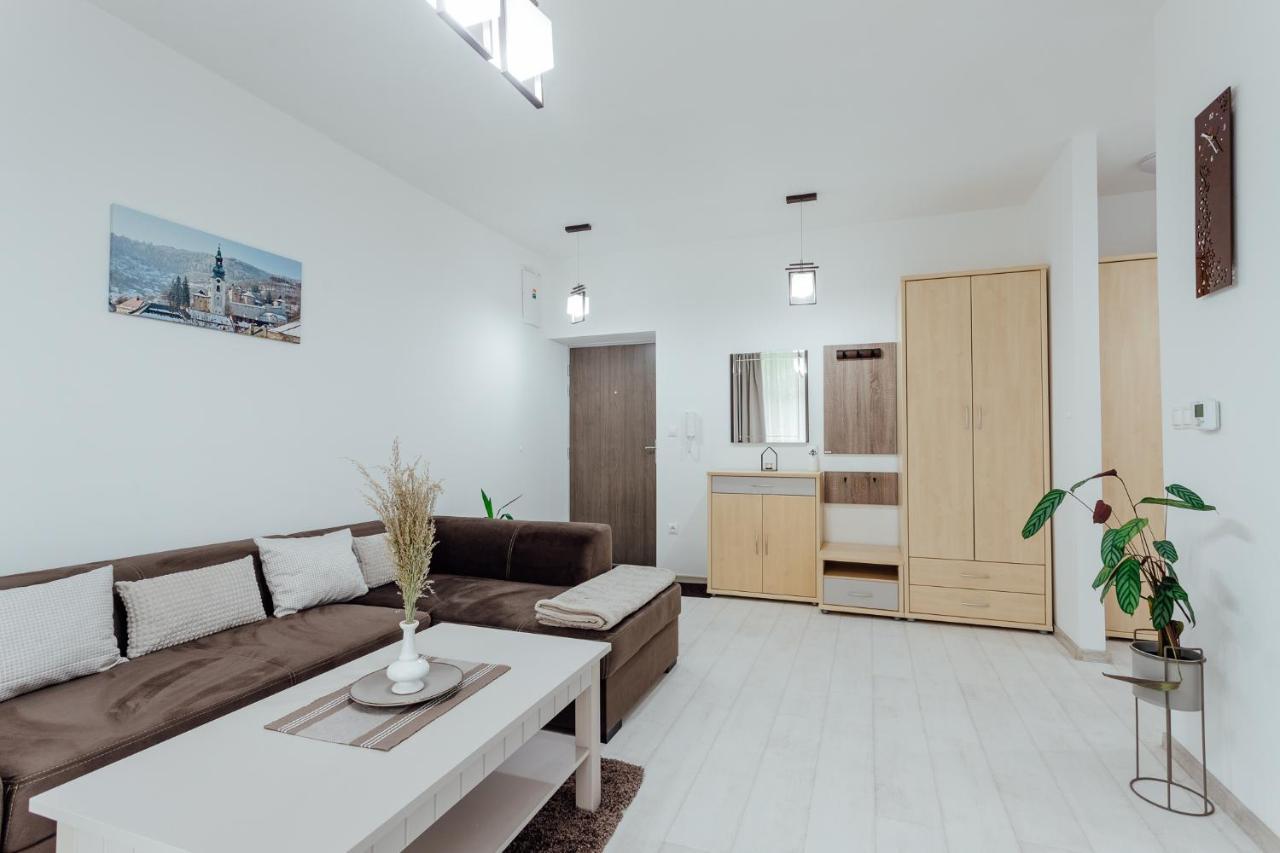 Apartman Vo Vile Kammergraf Banska Stiavnica Bagian luar foto